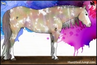 Horse Color:Nacre White Spotted Buckskin Ice Sabino Splash 