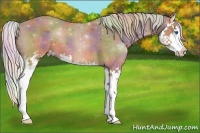 Horse Color:Nacre Silver Brown Splash