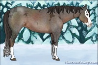Horse Color:Liver Red Ice Roan Sabino Splash