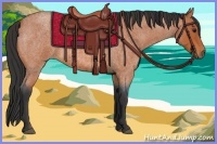 Horse Color:Bay Roan 