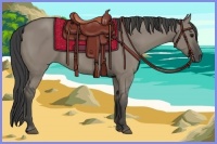 Horse Color:Smoky Grullo 