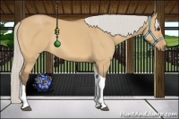 Horse Color:Silver Bay Dun Tobiano Rabicano 