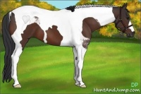 Horse Color:Brown Tobiano 