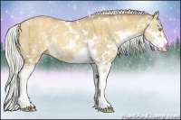 Horse Color:Gold Champagne Dun Sabino Rabicano