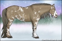Horse Color:Liver Red Dun Sabino Brindle