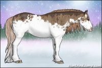 Horse Color:Liver Red Dun Sabino Splash Rabicano