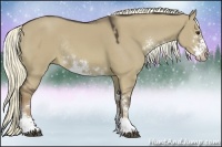 Horse Color:Liver Red Dun Sabino Rabicano 