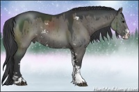 Horse Color:Grullo Sabino