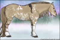 Horse Color:Liver Red Dun Sabino Rabicano