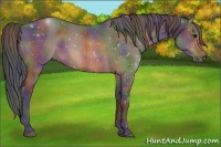 Horse Color:Nacre Buckskin