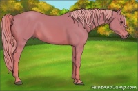 Horse Color:Watercolor Chestnut