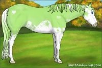 Horse Color:Watercolor Chestnut Splash 