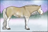 Horse Color:Liver Red Dun Sabino Splash Rabicano 