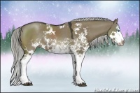 Horse Color:Liver Red Dun Sabino Splash Rabicano