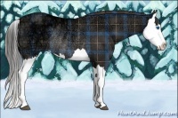 Horse Color:Plaid  Liver Chestnut Ice Splash Rabicano 