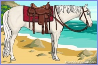 Horse Color:Cremello 