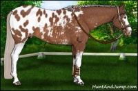 Horse Color:White Spotted Chocolate Silver Brown Blanket 