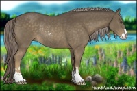Horse Color:Chocolate Palomino Sabino Rabicano