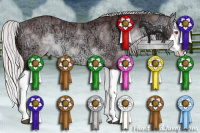 Horse Color:Chocolate Silver Brown Chinchilla Ice Splash 