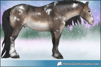 Horse Color:White Spotted Brown Dun Sabino Rabicano