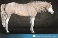 Horse Color:Chocolate Palomino Roan Sabino Splash 