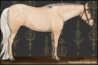 Horse Color:Silver Bay Pearl Varnish 