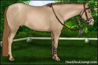 Horse Color:Liver Chestnut Pearl 