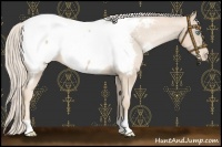 Horse Color:Palomino Pearl Snowcap 