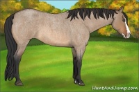 Horse Color:Bay Roan Dun Splash 