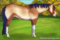 Horse Color:Painted Bay Onyx 