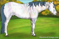 Horse Color:Watercolor Red Onyx Ice Tobiano