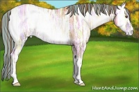 Horse Color:Painted Red Onyx Ice Pearl