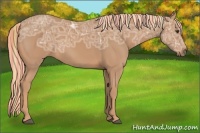 Horse Color:Painted Chestnut Ice 