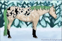 Horse Color:Painted Palomino Ice Appaloosa