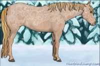 Horse Color:Painted Red Ice Roan Rabicano 