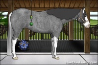 Horse Color:Smoky Blue Roan Splash 