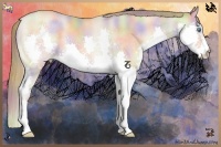 Horse Color:Nacre Buckskin Pearl Sabino Splash