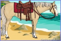 Horse Color:Palomino Splash 