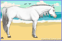 Horse Color:White Spotted Liver Red Dun Ice Onyx Splash Tobiano Near Leopard Brindle 