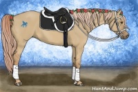 Horse Color:Palomino Dun 