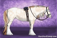 Horse Color:Buckskin Roan Pearl  and Amber Cream Champagne Roan Pearl 
