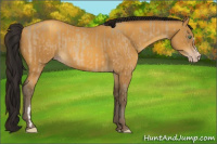 Horse Color:Amber Cream Champagne  and Gray Amber Cream Champagne 