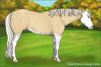 Horse Color:Silver Classic Champagne Dun Splash 