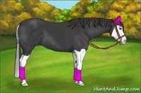 Horse Color:Smoky Black Splash