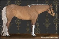 Horse Color:Chocolate Silver Buckskin Tobiano