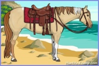 Horse Color:Red Dun Tobiano