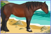 Horse Color:Brown 