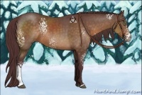 Horse Color:White Spotted Chocolate Buckskin Rabicano