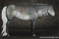 Horse Color:Silver Black Chinchilla