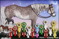 Horse Color:Chocolate Silver Black Chinchilla 